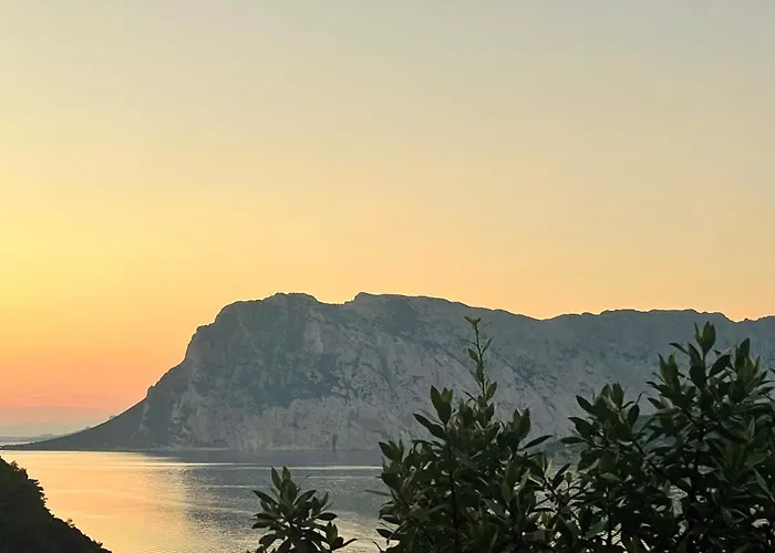 Dominore - Punta Est, - San Teodoro * Capo Coda Cavallo