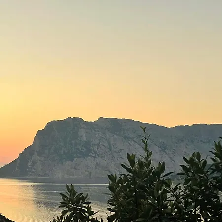 Dominore - Punta Est, - San Teodoro * Capo Coda Cavallo