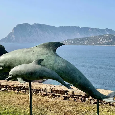 Villa Dominore - Punta Est, - San Teodoro Capo Coda Cavallo